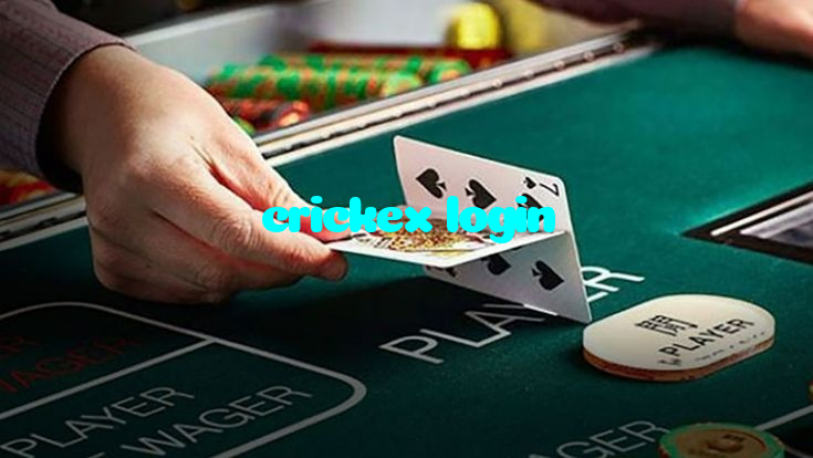 ملتان میں ڈریگن ٹائیگر کواِک کمپیٹیشن میں بیٹنگ اور فوری وننگ اوڈز